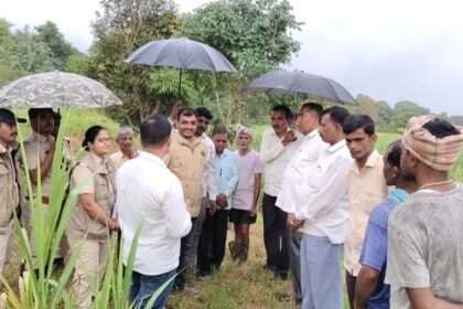 ಕಬ್ಬು ಬೆಳೆಗೆ ಹಾನಿ : ಅರಣ್ಯಾಧಿಕಾರಿಗಳೊಂದಿಗೆ ಪರಿಶೀಲನೆ ನಡೆಸಿದ ವಿಠ್ಠಲ ಹಲಗೇಕರ